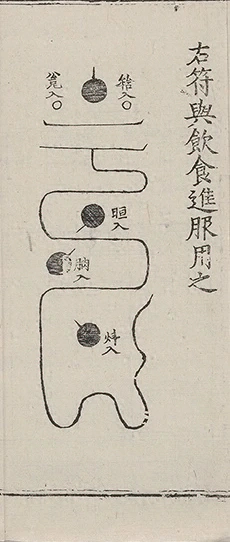 插图
