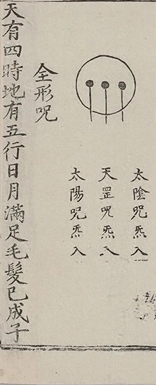 插图