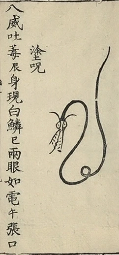 插图