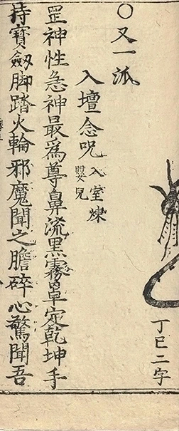 插图