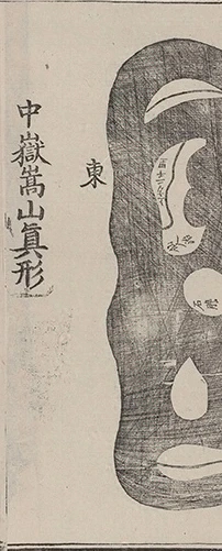 插图
