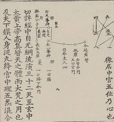 插图