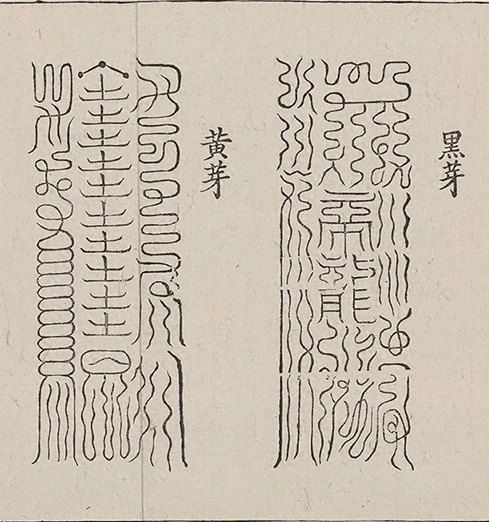 插图
