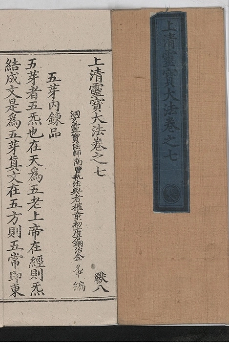 p. 231