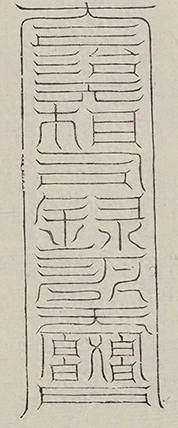 插图