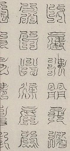 插图