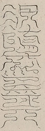 插图