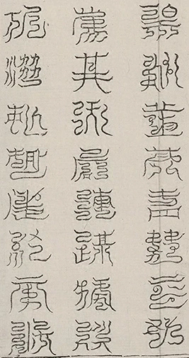 插图