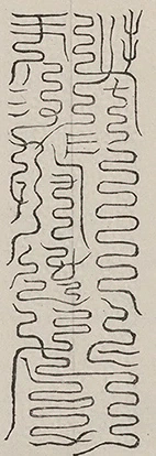 插图