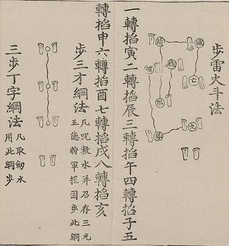 插图
