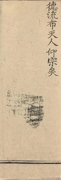 插图