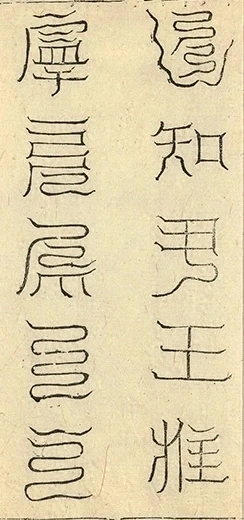 插图