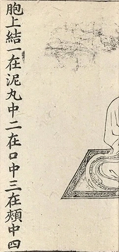 插图