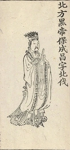 插图
