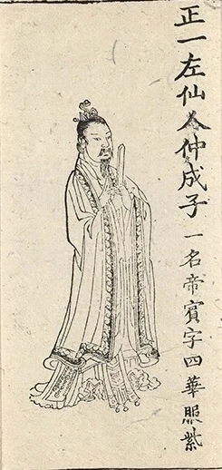 插图