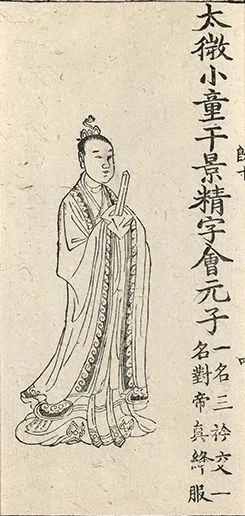 插图