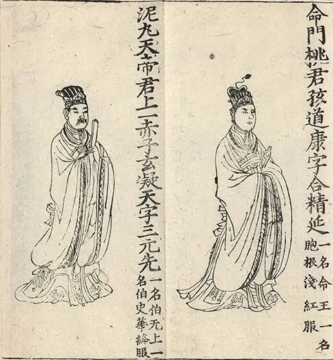插图