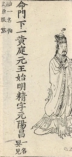 插图