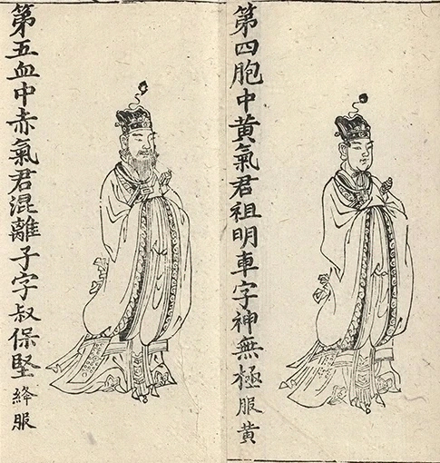 插图