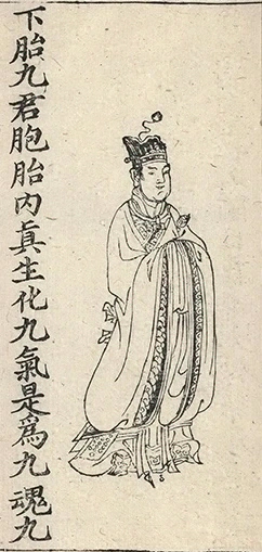 插图