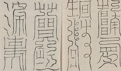 插图