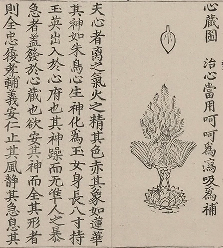 插图