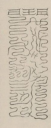 插图