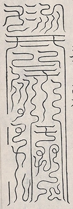 插图