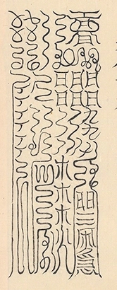 插图