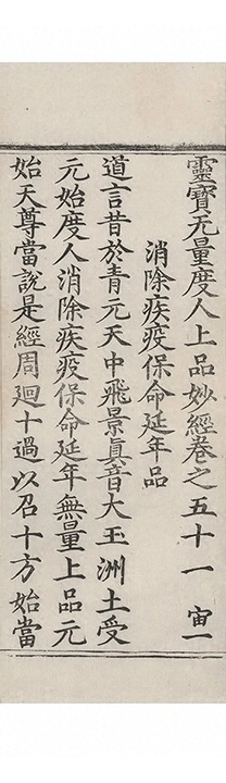 p. 3205