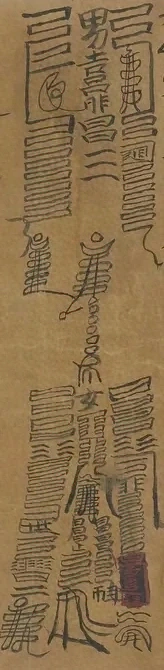 插图
