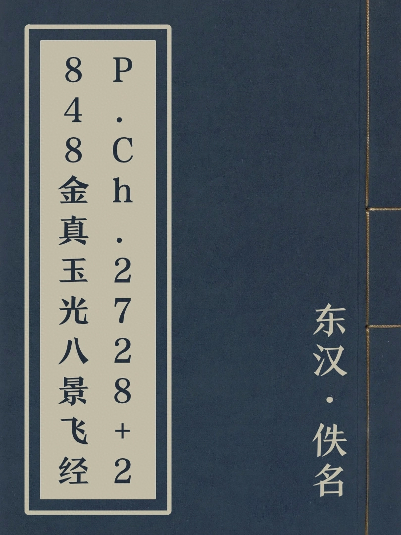 P.Ch.2728+2848金真玉光八景飛經