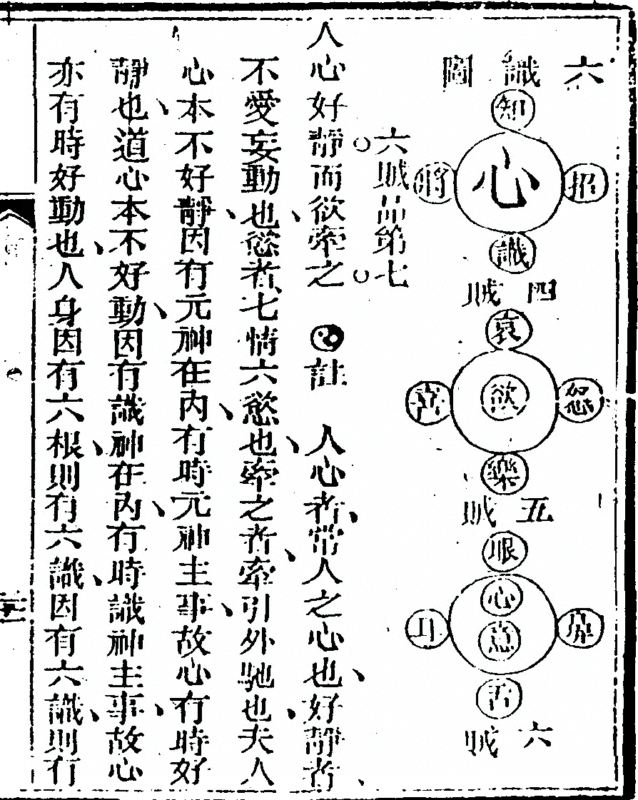 p. 41
