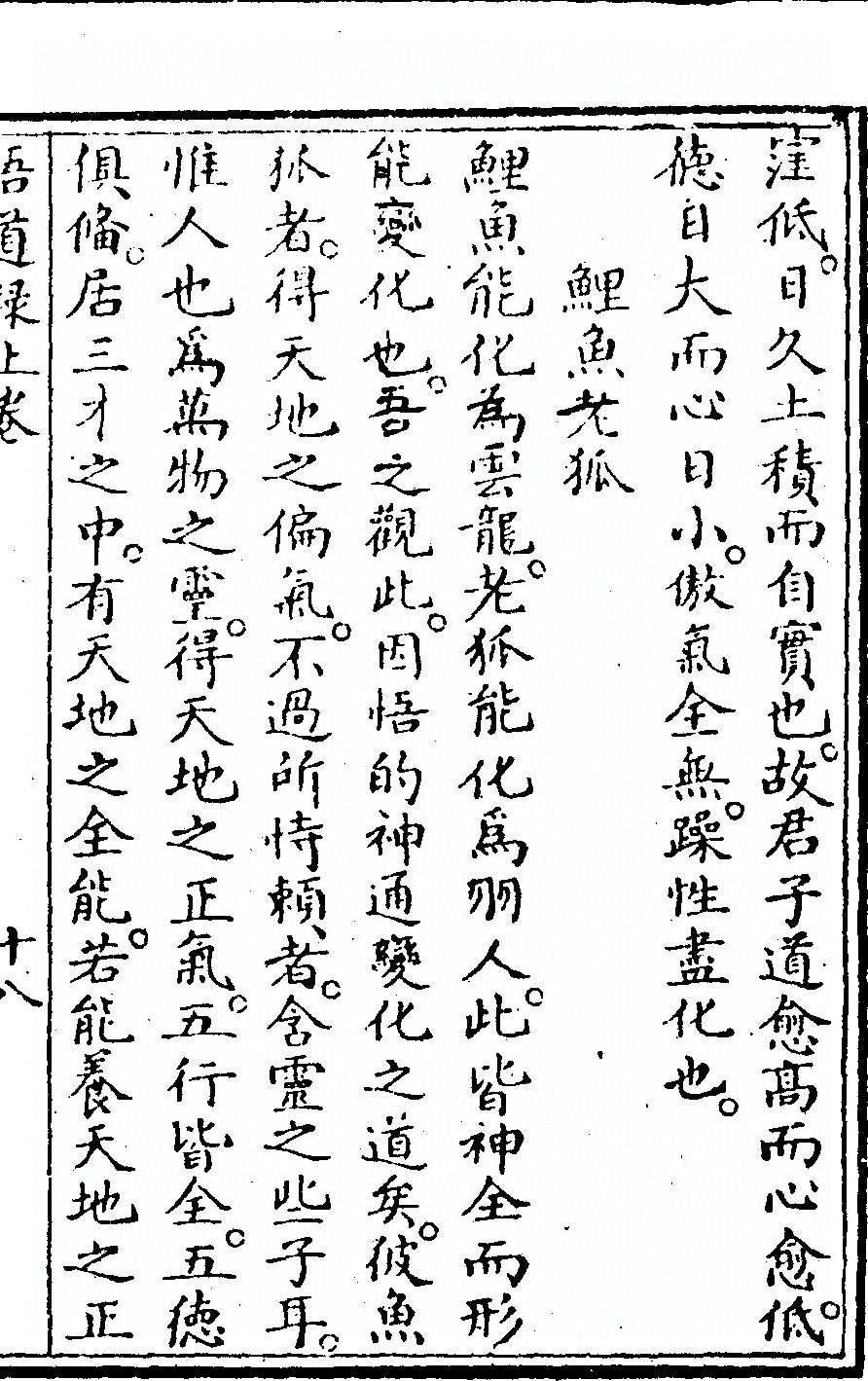 p. 55