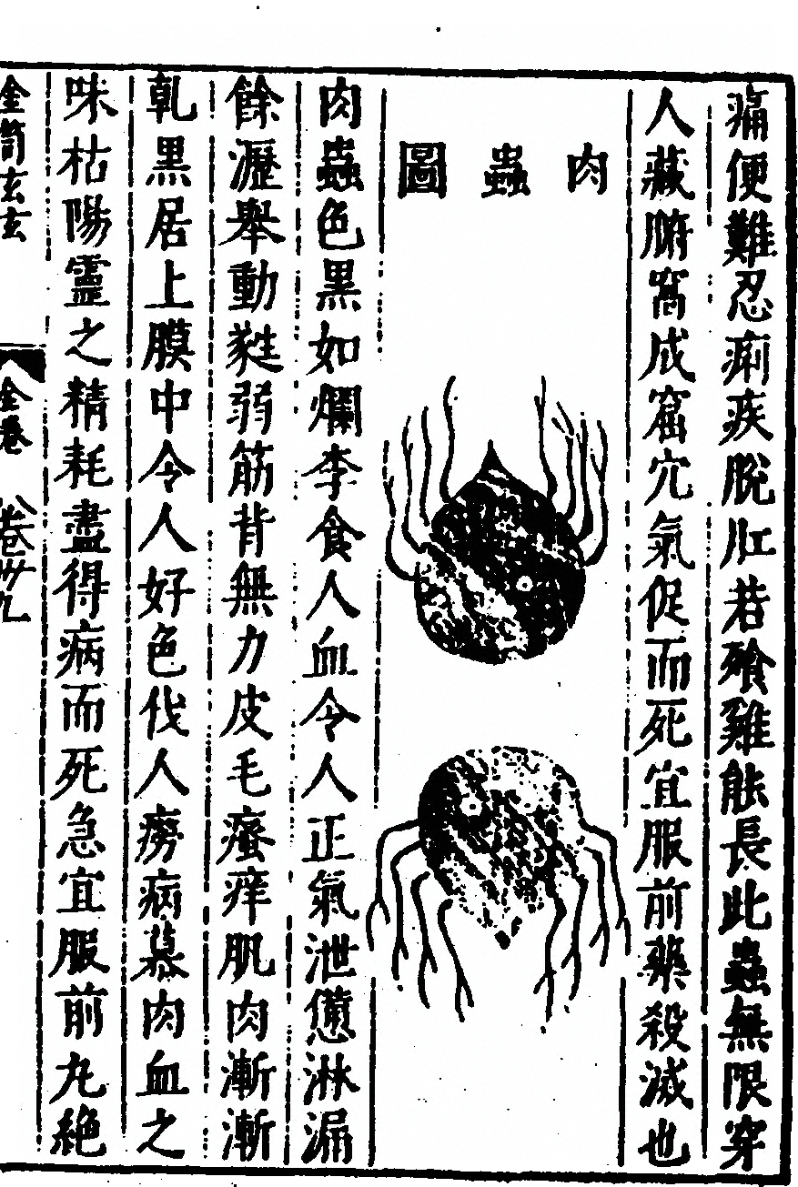 p. 15