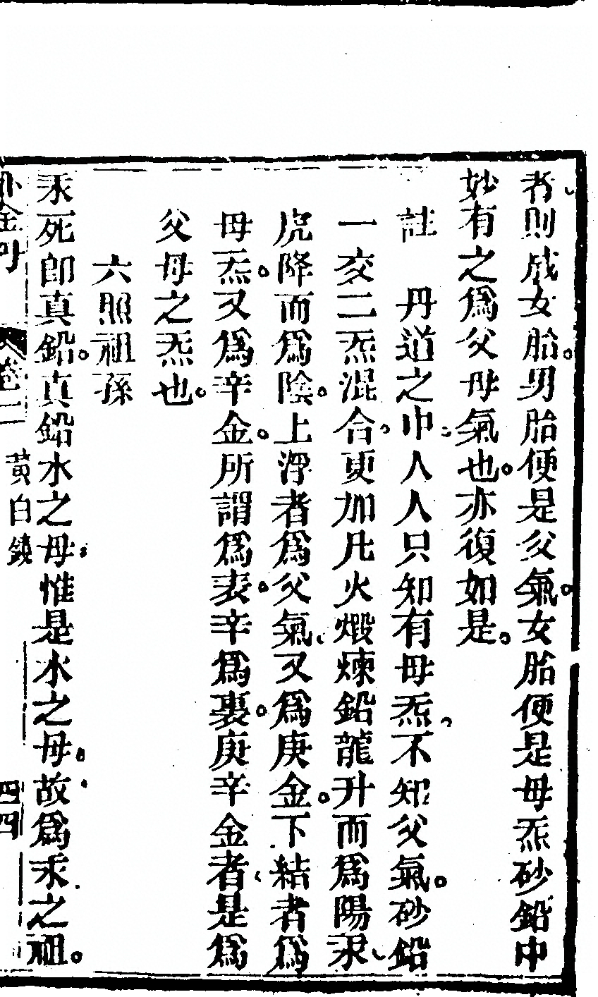 p. 231