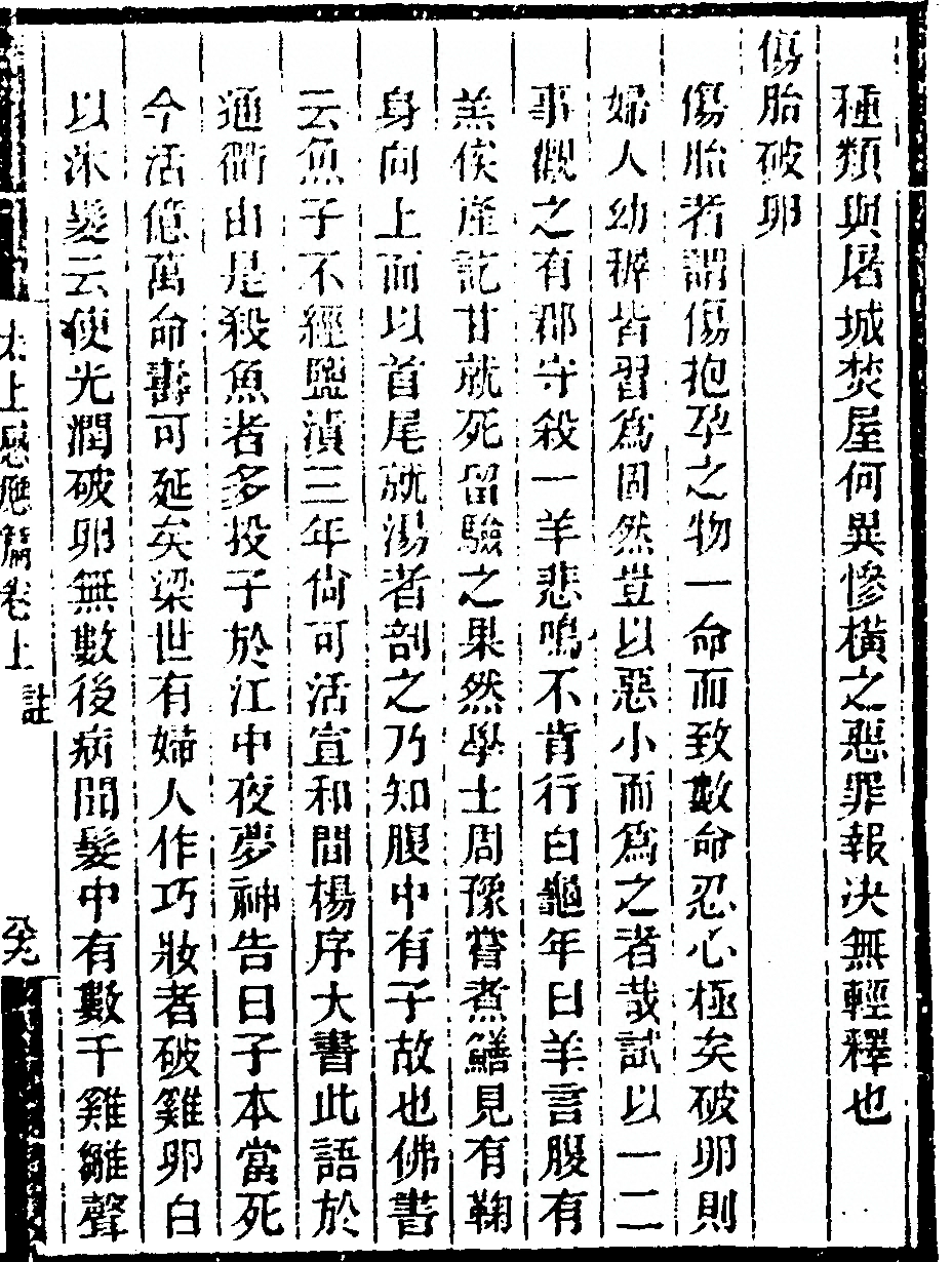 第 205 页