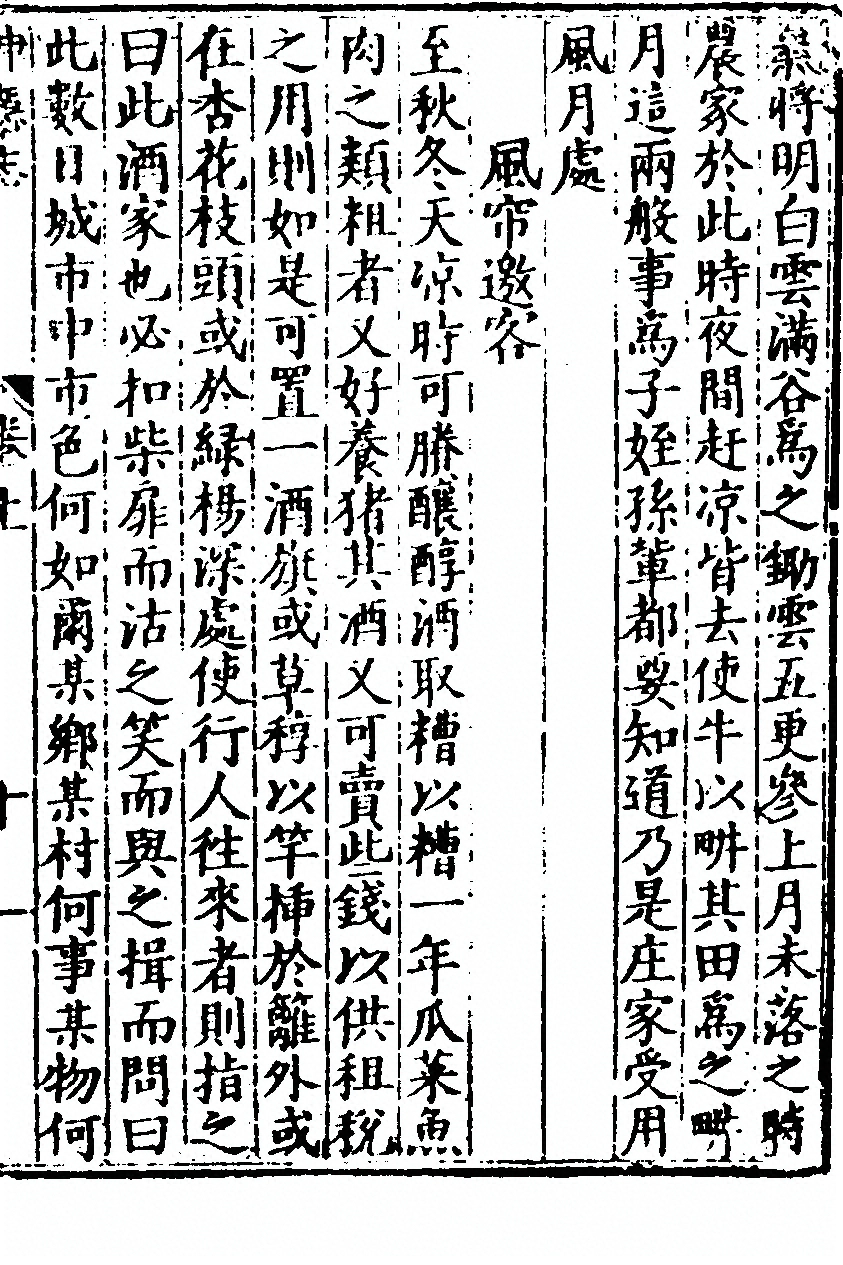 p. 31