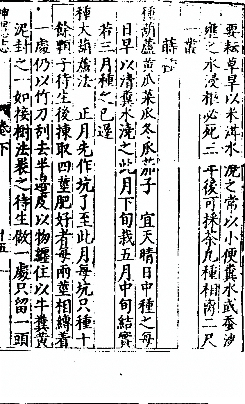p. 181