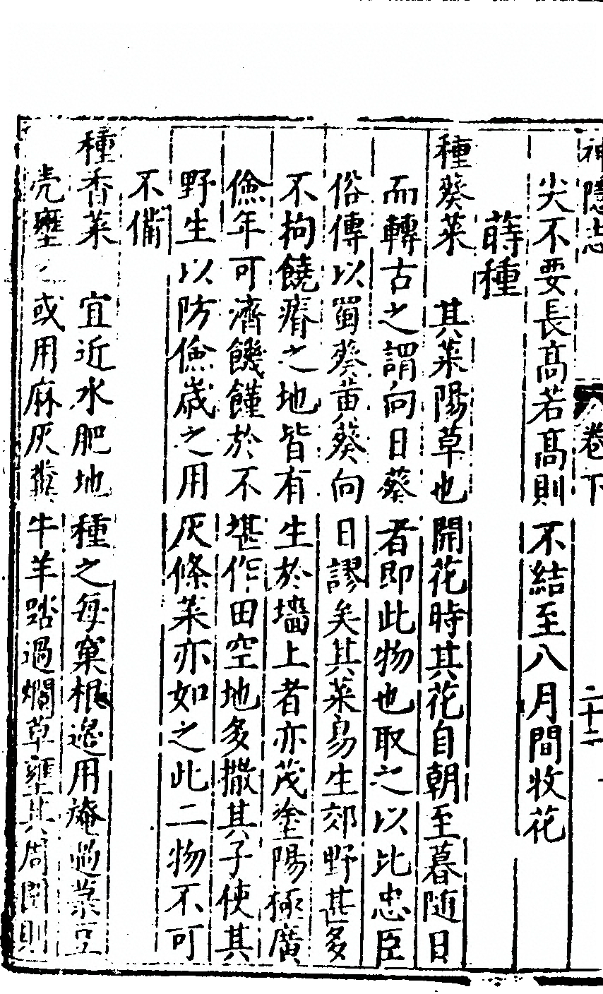 第 196 页