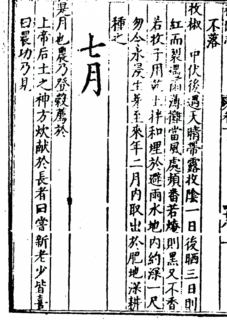 p. 248