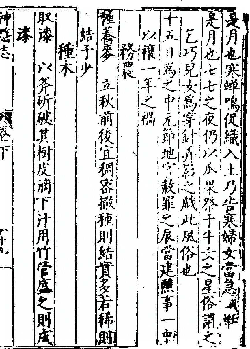 p. 249