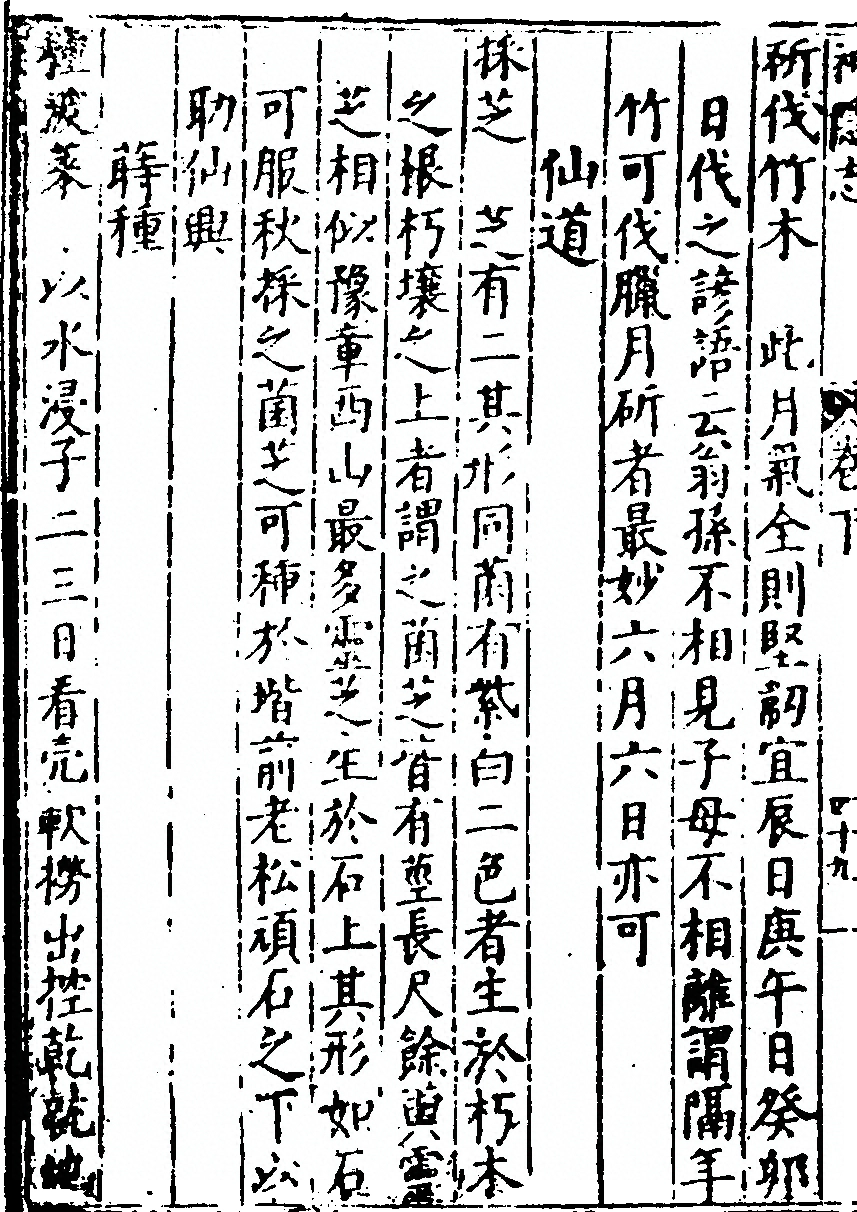 p. 250