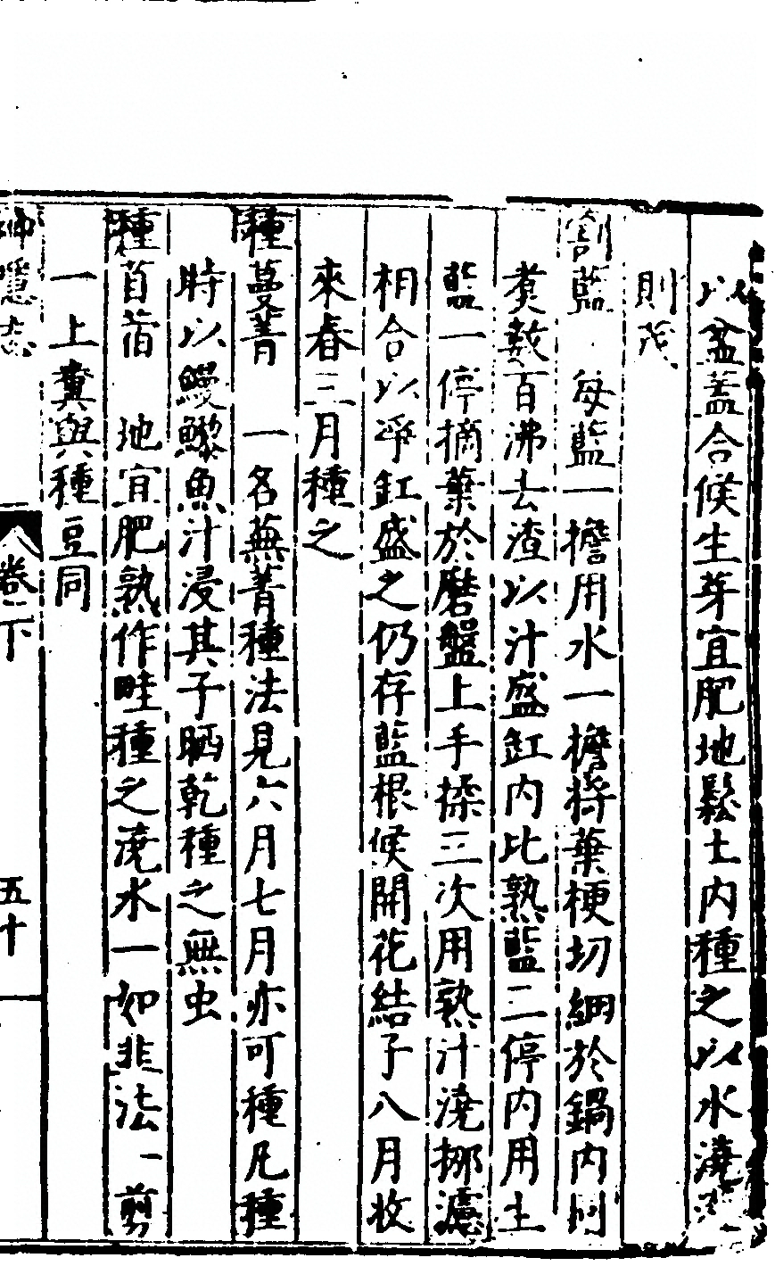 p. 251