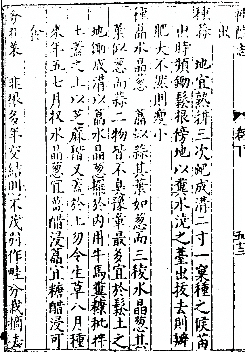 p. 258