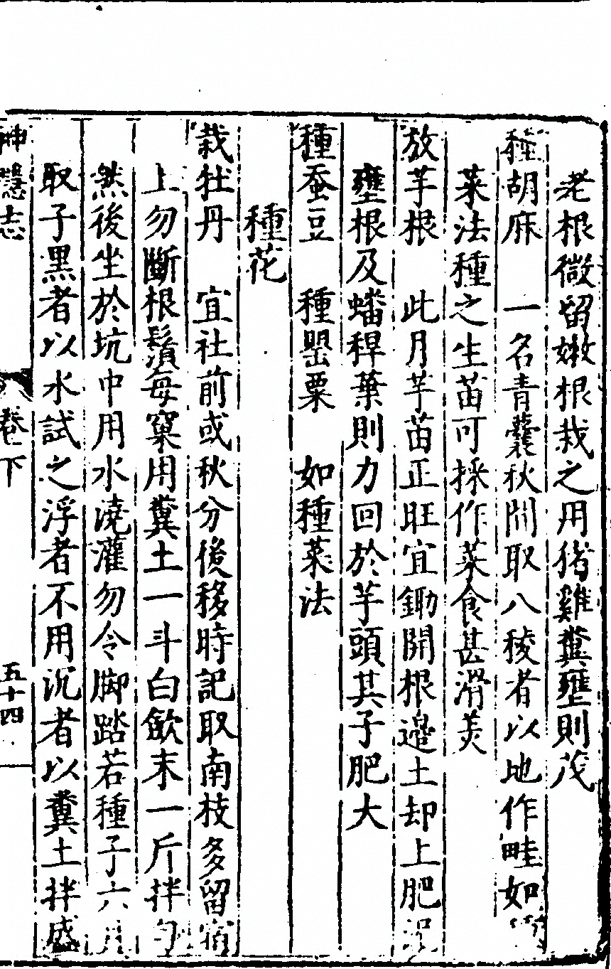 第 259 页
