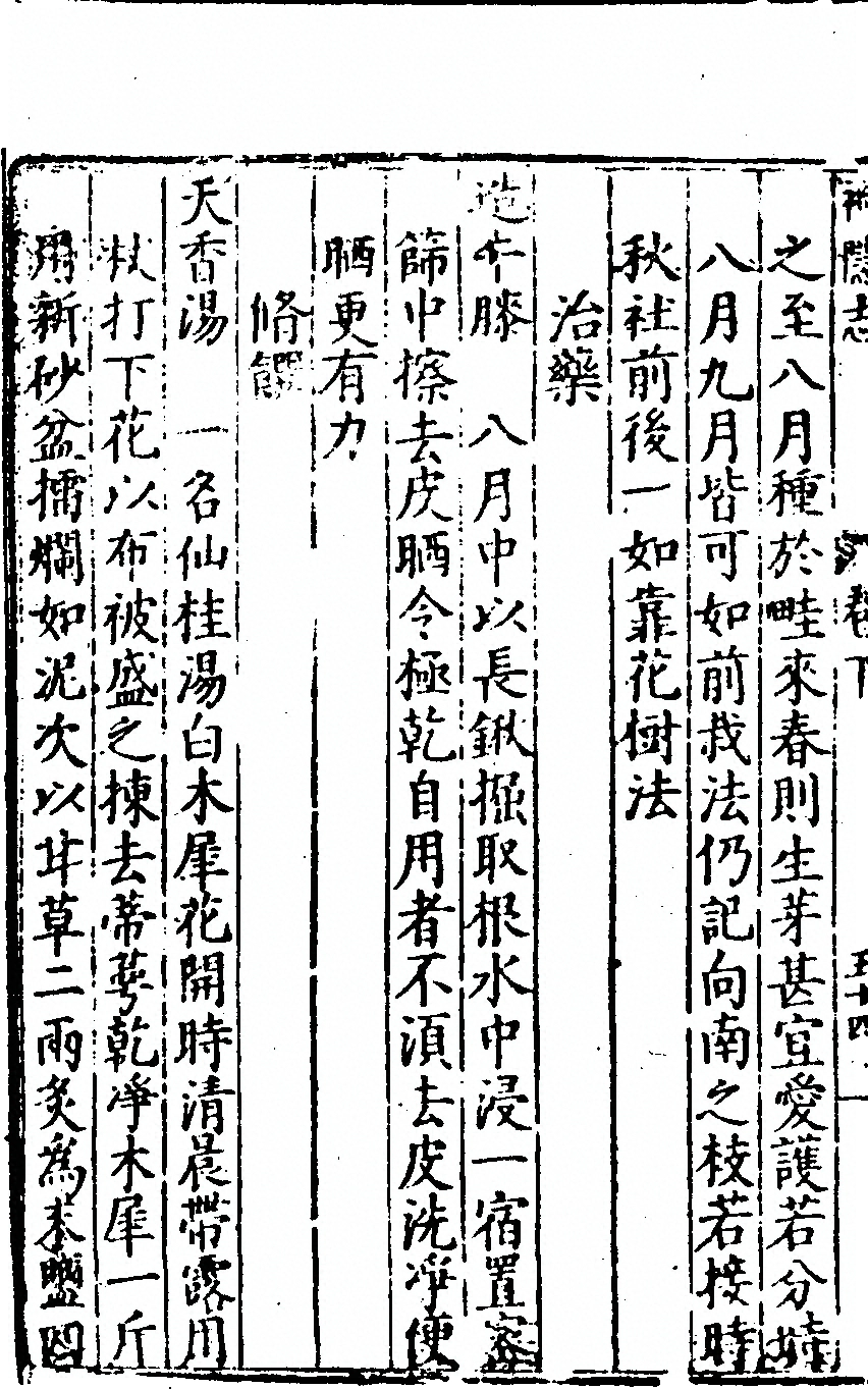 p. 260