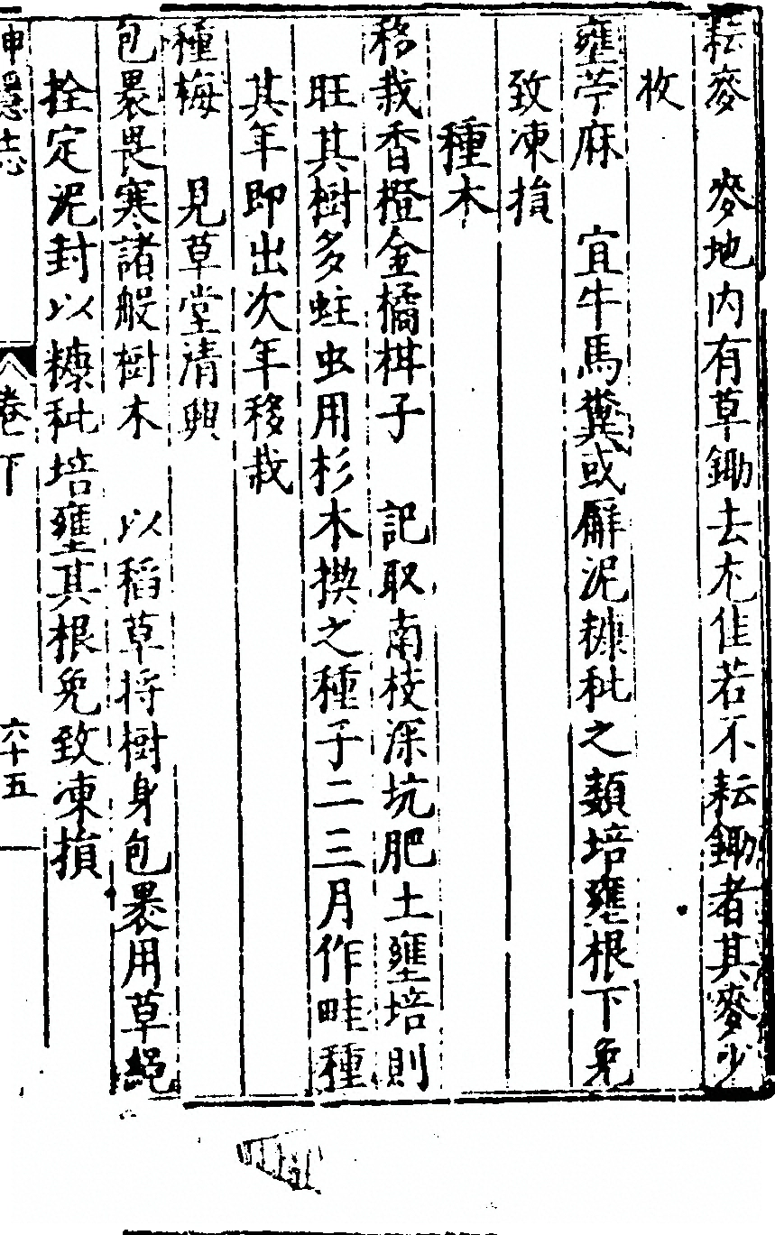 p. 281