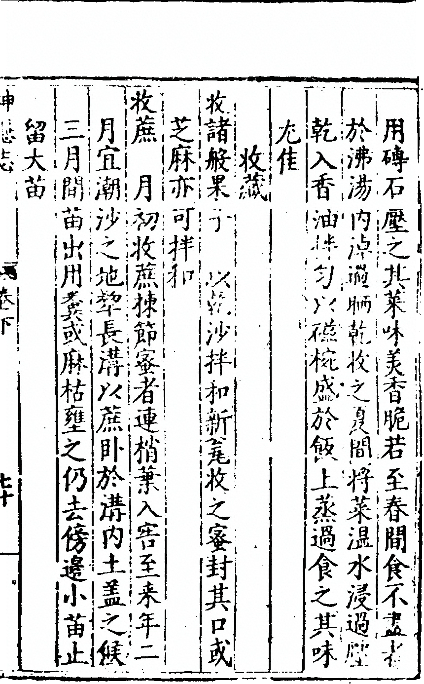 p. 291