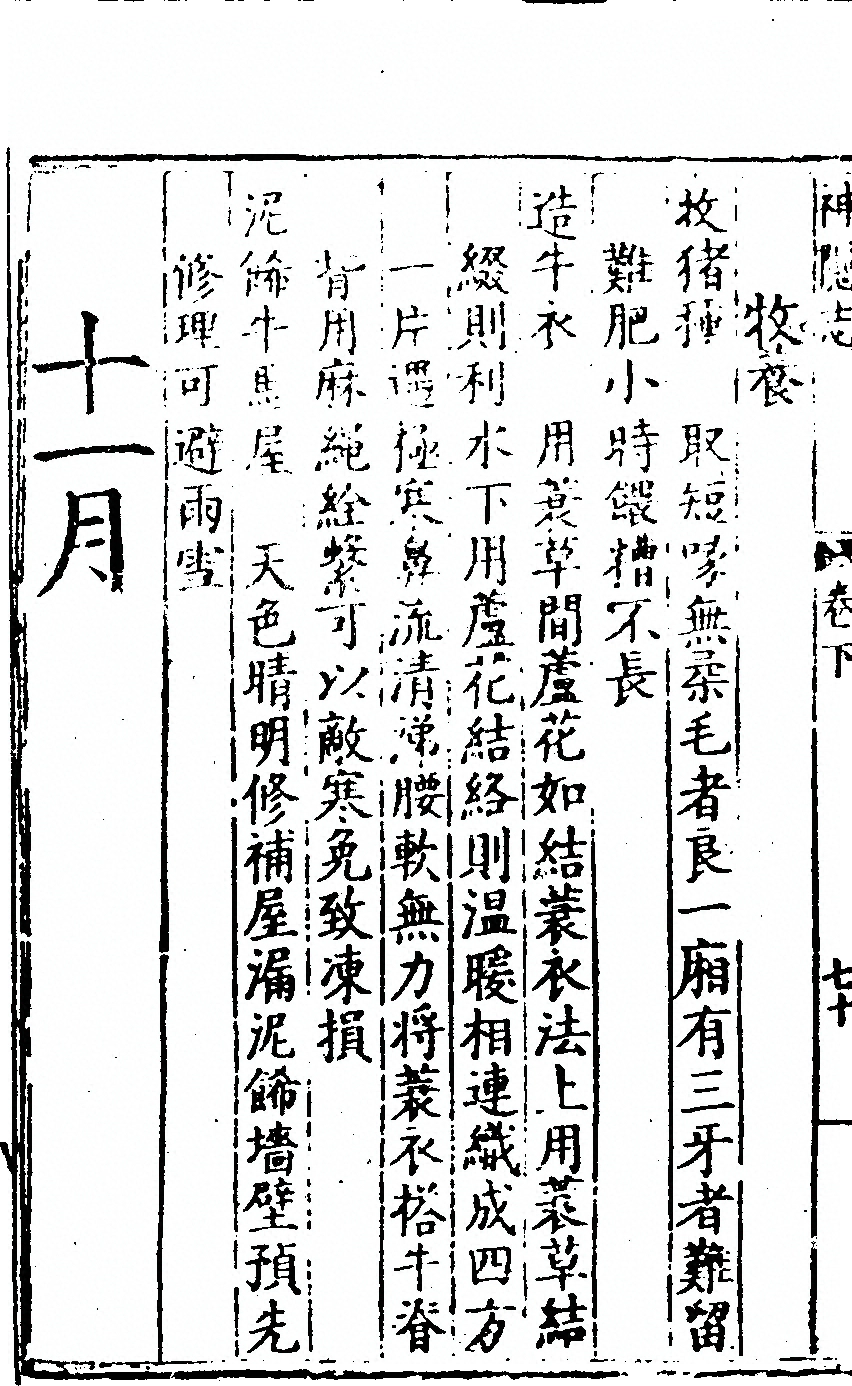 p. 292